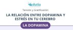 LA RELACIÓN ENTRE DOPAMINA Y ESTRÉS EN TU CEREBRO